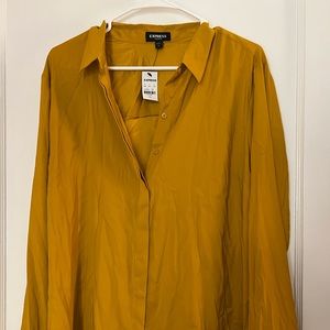 Express portofino satin blouse